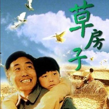 草房子电影,岁月流转中的青春记忆